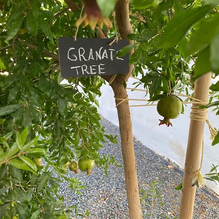 Vakantiehuis Casa , Dilar, Granada Con Jardin Y Piscina Dílar